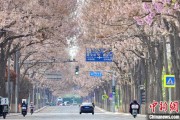 迪庆共建“花园城市” 北京这场议政会“百花齐放”