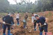 迪庆广州已打造首批32处“绿美宗教活动场所”