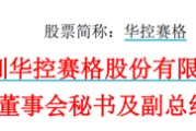 迪庆华控赛格董事长、董秘、副总经理三高管同日辞职